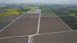 2023年高标准农田改造