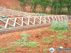 内江市东兴区平坦乡